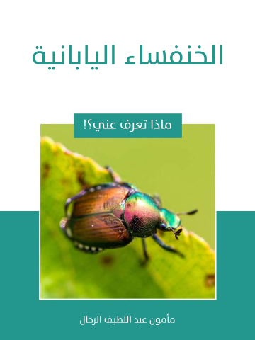 الخنفساء اليابانية