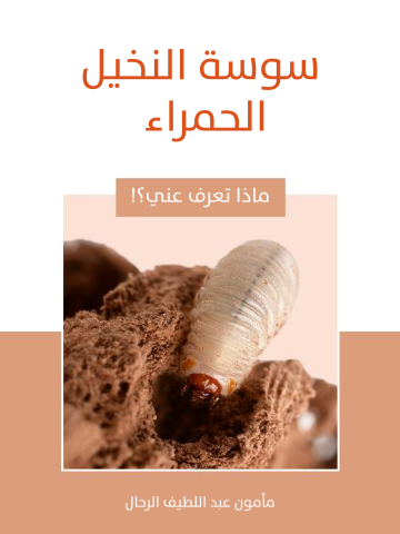 غلاف كتاب سوسة النخيل الحمراء